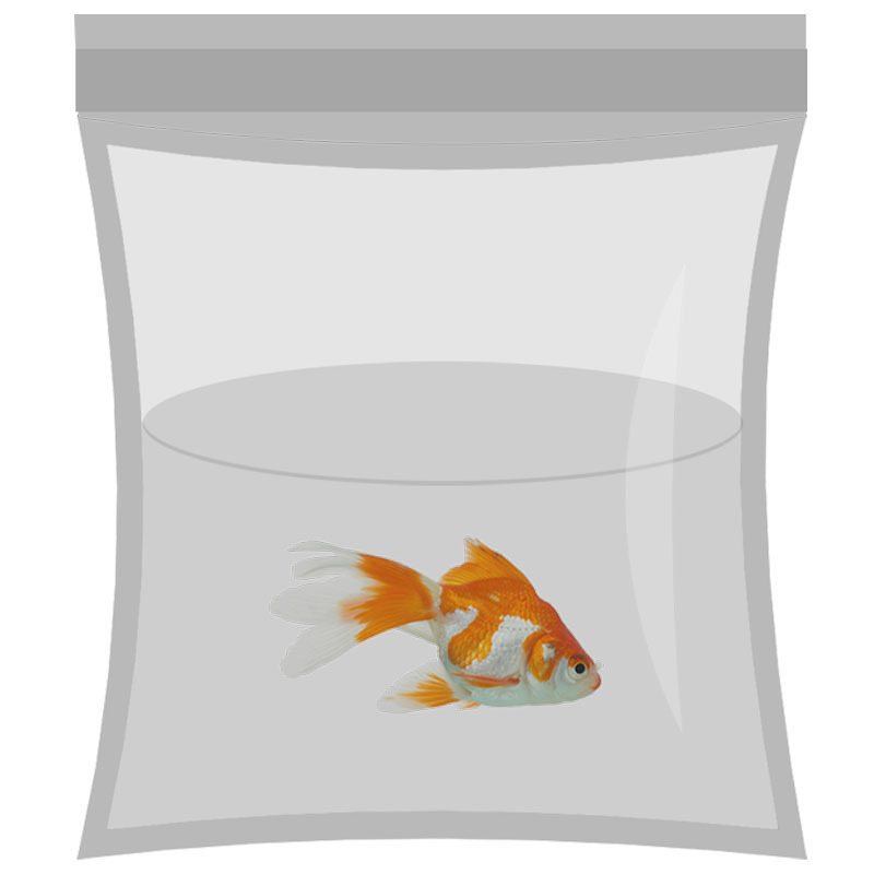 水族觀賞魚活體包裝袋