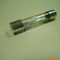 供應(yīng)玻璃保險絲管．