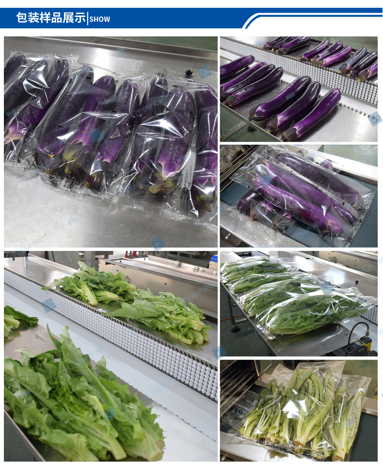 VT-330X-不銹鋼_07