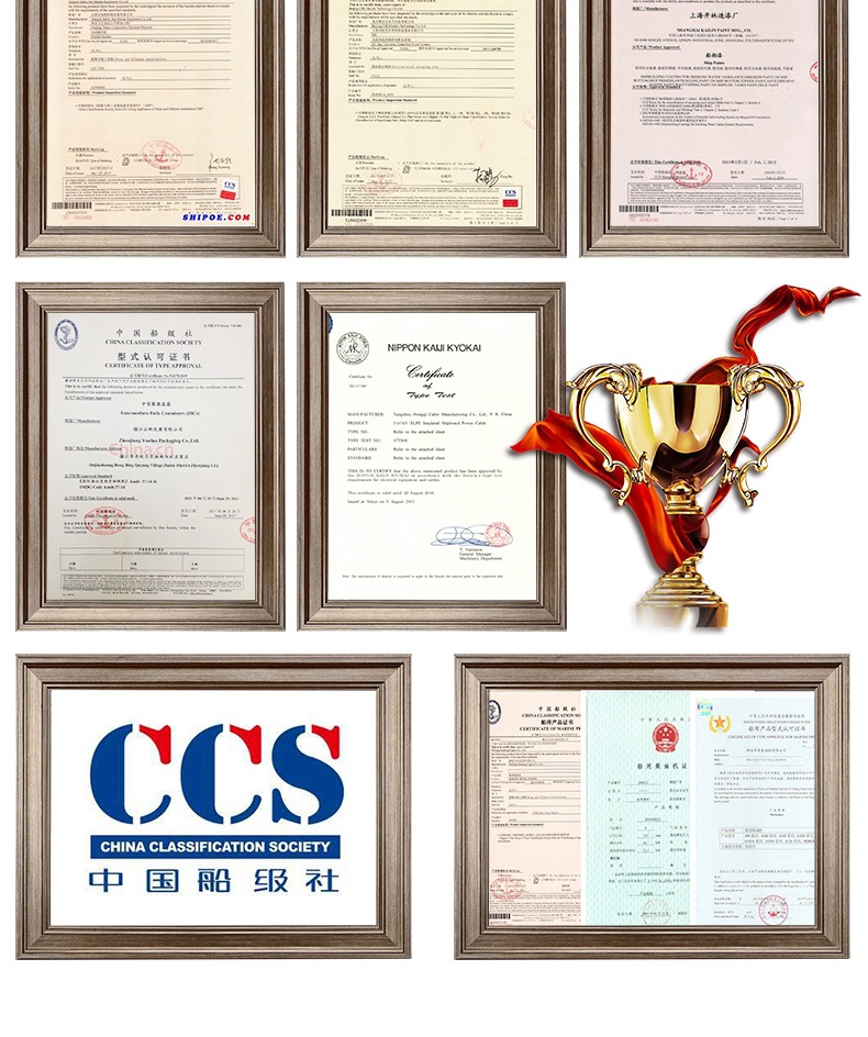 船用柴油機(jī)  套版_014