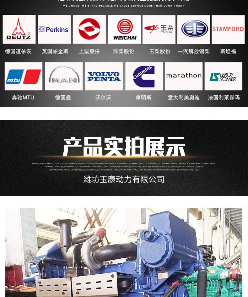 船用柴油機(jī)  套版_006