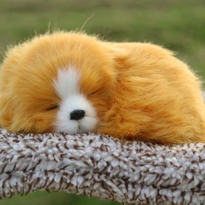 車載小狗汽車用品車內(nèi)飾品擺件家居小狗狗裝飾擺件世界名犬