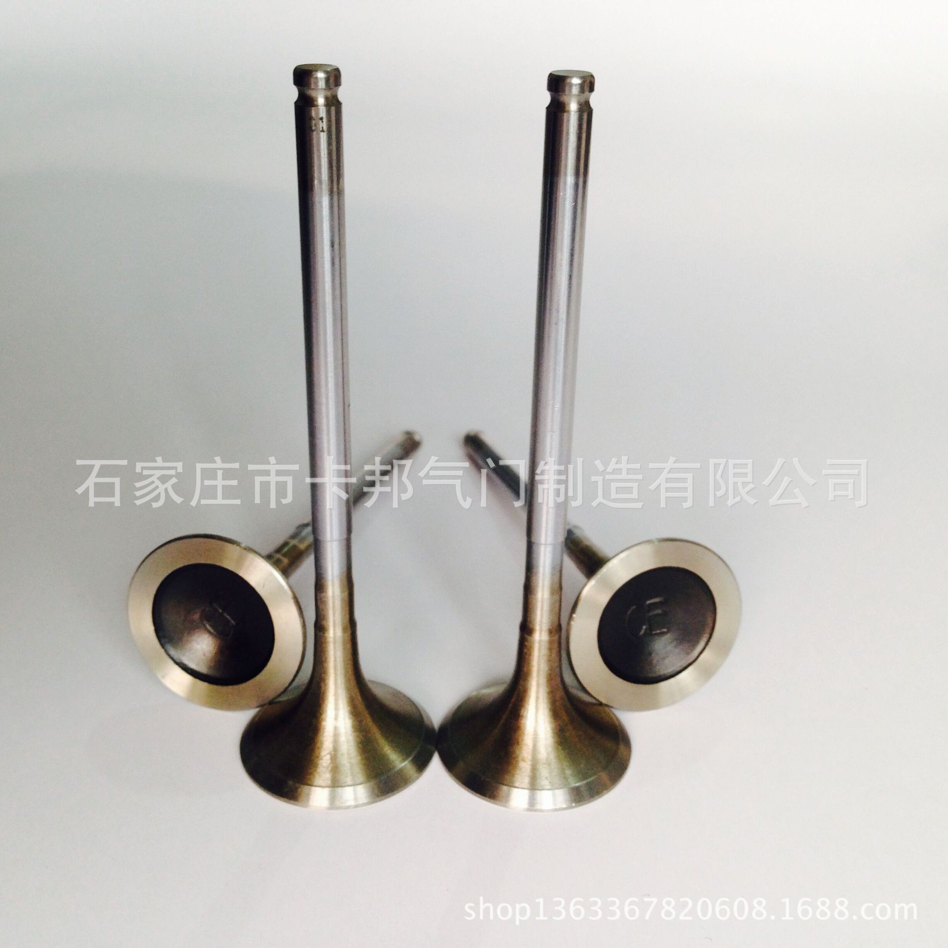 東風(fēng)雪鐵龍、東風(fēng)標(biāo)致 排氣門