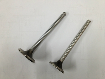 氣門，標(biāo)致氣門，進(jìn)排氣門，各種外貿(mào)氣門