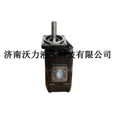 高壓齒輪泵CBGJ2100液壓泵齒輪泵龍工50裝載機配件