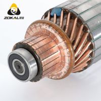 一件代發(fā)多規(guī)直流電機轉子總成 廠家供應格定制直流電機轉子總成