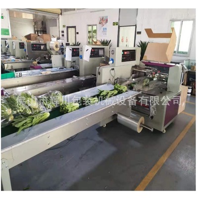 佛山輝川廠家直供枕式包裝機 果蔬包裝機下走紙伺服自感應