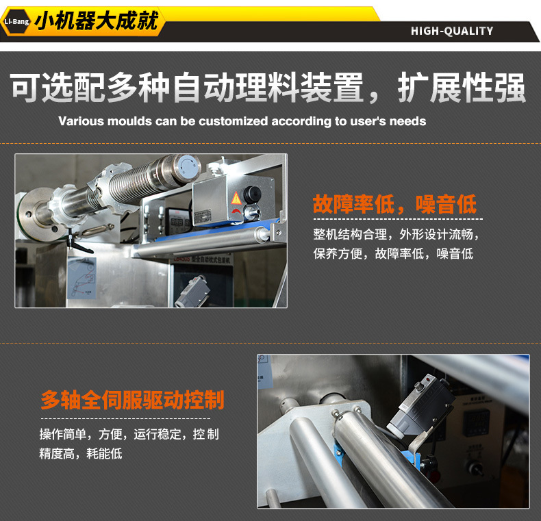10、LB450全伺服自動包裝機_04
