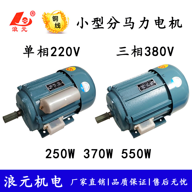 廠家分馬力感應(yīng)電動機(jī)250w/370w/550w小型電機(jī)單相220v三相380v銅