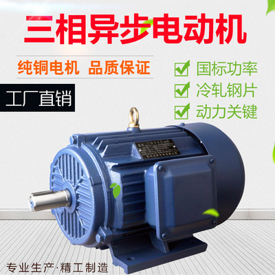 廠家直發(fā)三相異步電動機 YE2系列Y2 純銅 11kw-4 YE2-160M-4
