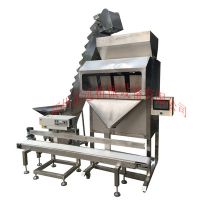 大米自動定量包裝機(jī) 小米計(jì)量分裝機(jī) 黃豆稱重灌裝機(jī) 顆粒包裝機(jī)