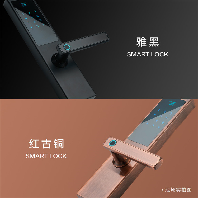 微信圖片_20200514141930_副本