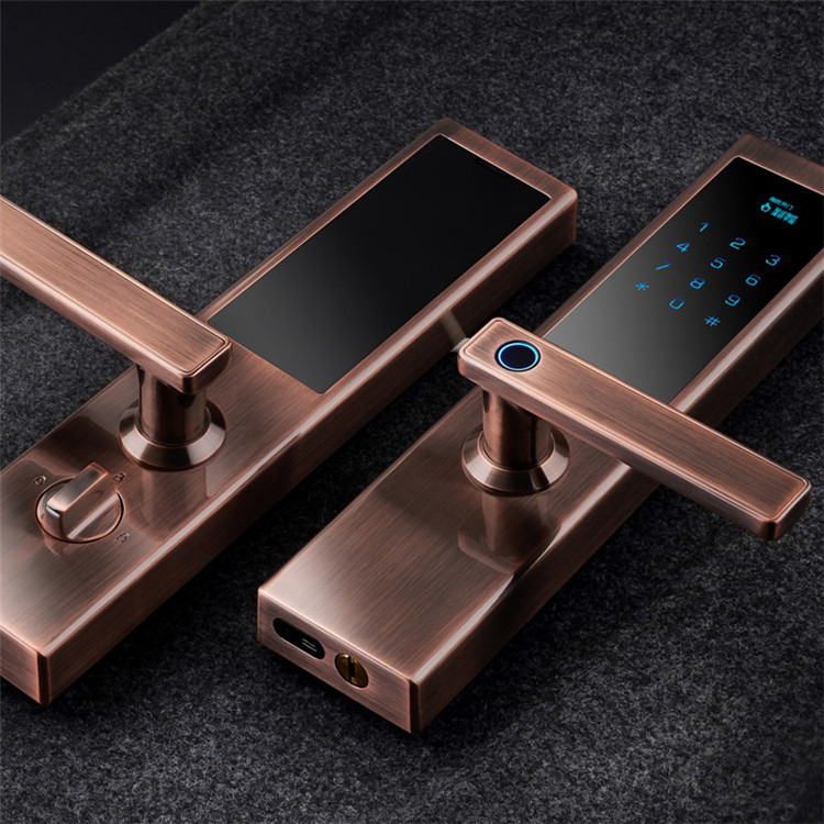 微信圖片_20200514141926_副本