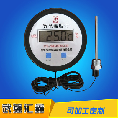 生產(chǎn)銷售 帶探頭高精度數(shù)顯溫度計(jì) LED防水電子數(shù)顯溫度計(jì)10米