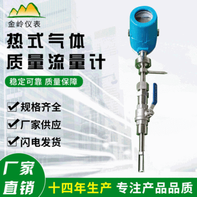 廠家現(xiàn)貨熱式氣體質(zhì)量流量計(jì)氮?dú)饪諝鉄煔鈿錃饬髁坑?jì)