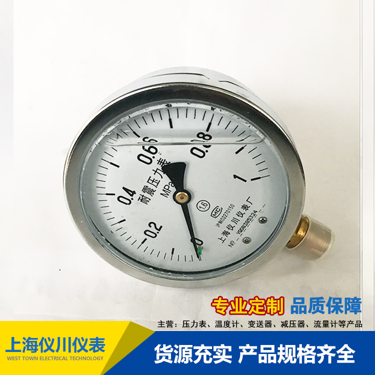 鑰愰渿鍘嬪姏琛╕N-100-(3)