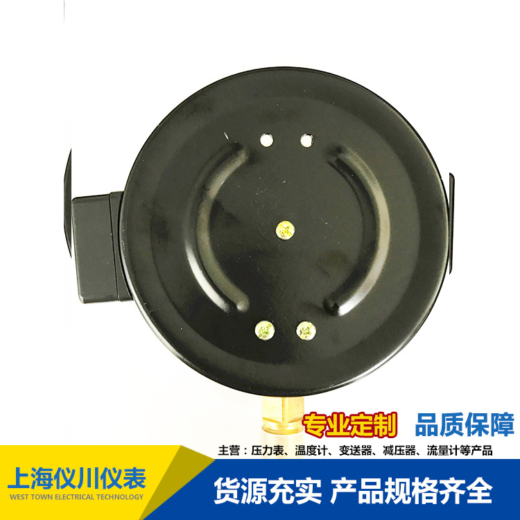 遠傳壓力表YTZ-150