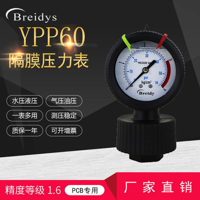 PP隔膜壓力表YPP-60廠家直銷規(guī)格齊全耐酸堿耐腐蝕2KG/4KG/6KG