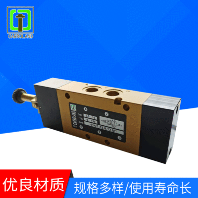 廠家供應(yīng)414電磁閥單雙電控電磁閥支持來圖定制閥10bar