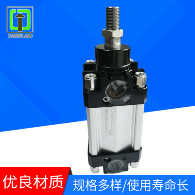 廠家直銷標(biāo)準(zhǔn)氣缸普通氣缸通用氣缸1321系列接受定制