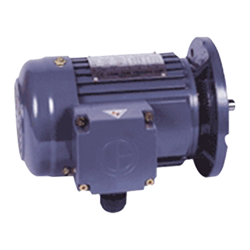 立式標(biāo)準(zhǔn)IEC三相鋁殼(剎車)馬達(dá)