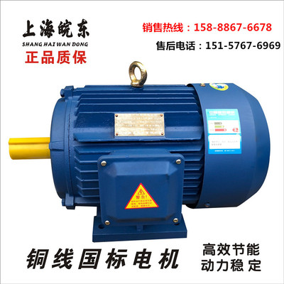 廠家直供45KW三相異步電動(dòng)機(jī) YE2-225M-4-45千瓦高效節(jié)能電機(jī)