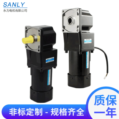 永力SANLY鞋機行業(yè)設(shè)備減速電機 印刷機械減速電機 直角中實電機