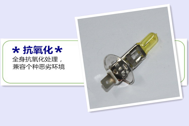 圖片5_副本_副本