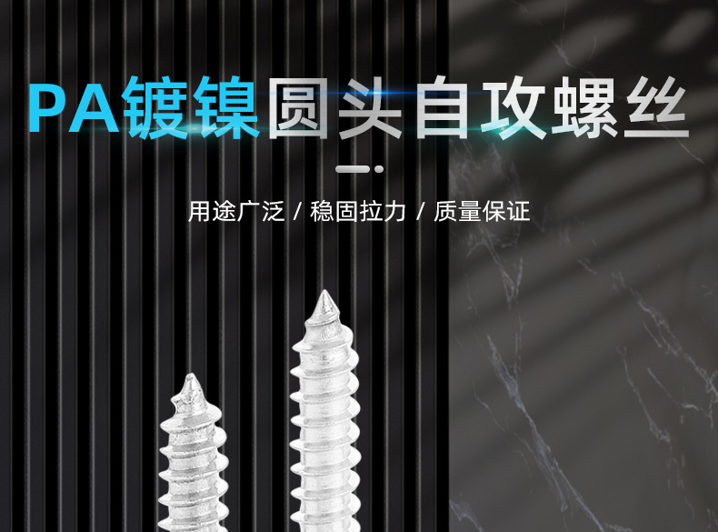 鍍鎳PA十字圓頭自攻螺絲_01_01.jpg