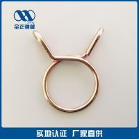 常州彈簧 定制 管夾彈簧 夾子彈簧 彈簧緊固件 喉夾彈簧 生產(chǎn)商