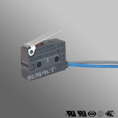 IP67防水微動(dòng)開關(guān)WS4 新能源汽車充電槍 右出線帶端子 汽車門鎖