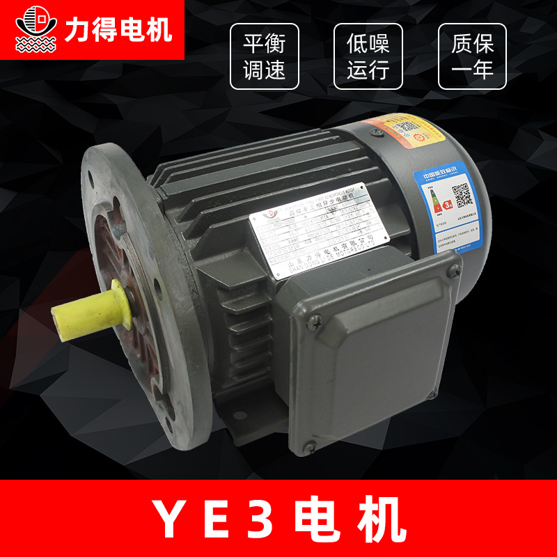 廠家直供200KW力得硅鋼三相異步電動(dòng)機(jī)電機(jī) YE3-8極-全系列電動(dòng)機(jī)