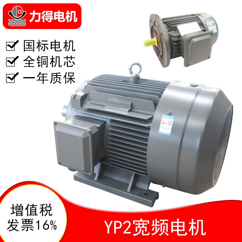 寬頻調(diào)速電機(jī) YP2系列 三相異步交流電動(dòng)機(jī) 廠家現(xiàn)貨力得電機(jī)
