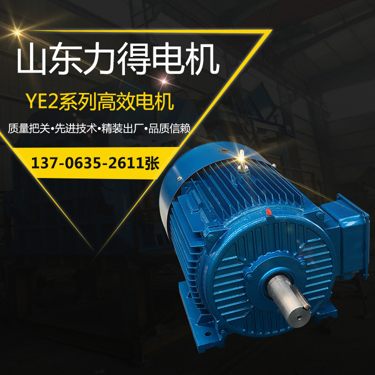 廠家現(xiàn)貨供應(yīng)YE2-225M-2極-45kw三相異步電動(dòng)機(jī) 高效節(jié)能電動(dòng)機(jī)