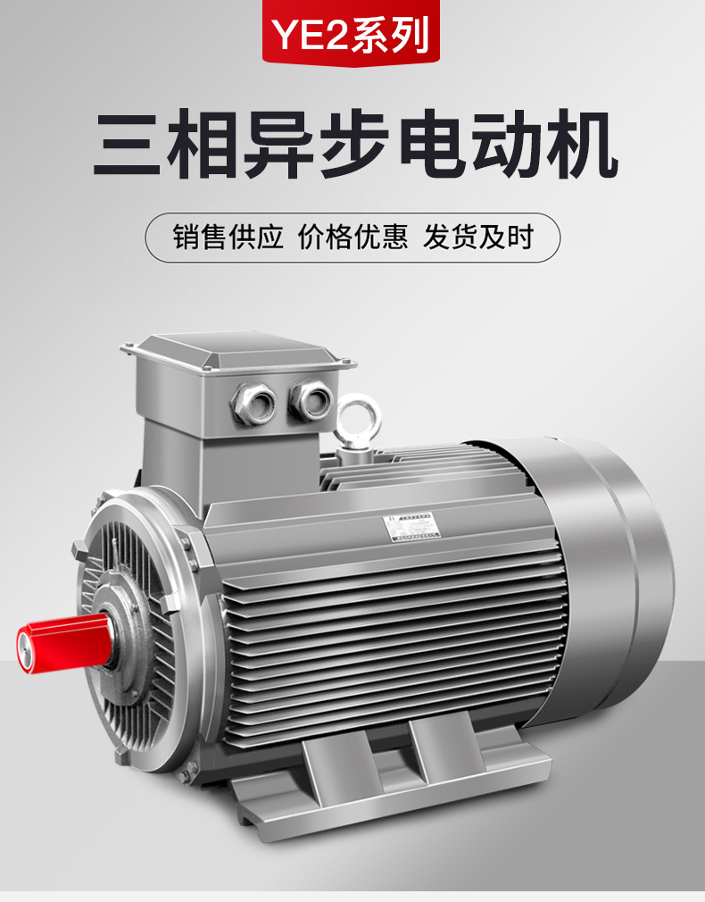 YE2系列-三相異步電動機_01.jpg
