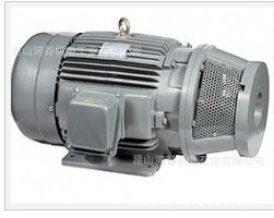 臺灣群策SY油泵電機，長嘴電機，油壓馬達，內(nèi)軸馬達