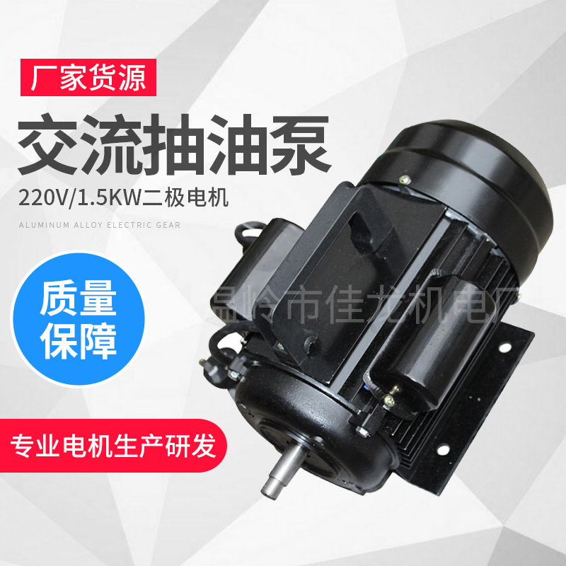 WCB 機(jī)油 鋁合金電動(dòng)齒輪 交流抽油泵220V1.5KW二極電機(jī) 廠家貨源