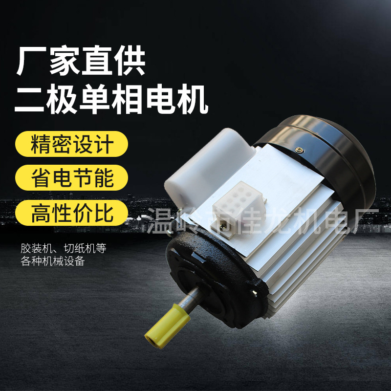 立式 銅芯廠家直供220V 550W 二極單相電動(dòng)機(jī) 膠裝機(jī)切紙機(jī)械設(shè)備