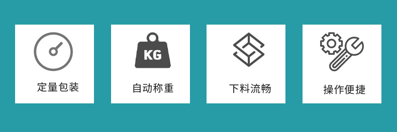 龍海包裝秤 (3)-1.jpg