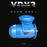 廠家產(chǎn)地直發(fā)三相異步Y(jié)BX3防爆電機63-355機座4極BT4粉塵隔爆馬達(dá)