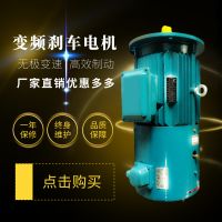 YEJVF電磁制動剎車電機15/18.5/22/30/37/45/55KW三相異步電動機