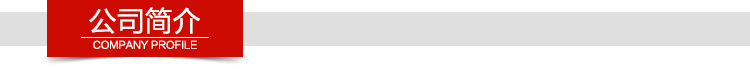 公司簡介