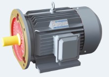 高效三相稀土永磁同步電機ZXYT-132-11KW/3000轉(zhuǎn)