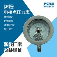 專業(yè)制造防爆 隔爆 隔膜 膜盒 抗震 電接點(diǎn) PCYTX-100B 壓力表