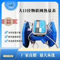 NB-Iot物聯(lián)網(wǎng)超聲波熱量表大口徑法蘭超聲波能量表物聯(lián)網(wǎng)冷熱量表