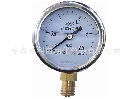 [廠家直銷]不銹鋼耐震壓力表/質(zhì)保12個(gè)月/廠家質(zhì)量保證全國(guó)包郵