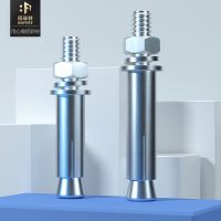 佰菲特膨脹螺絲 國標(biāo)鍍鋅膨脹螺栓鐵 碳鋼拉爆膨脹螺絲 M8M10M12