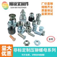 FBDZ 非標(biāo)定制各類壓鉚件/壓鉚螺母螺柱螺釘螺帽