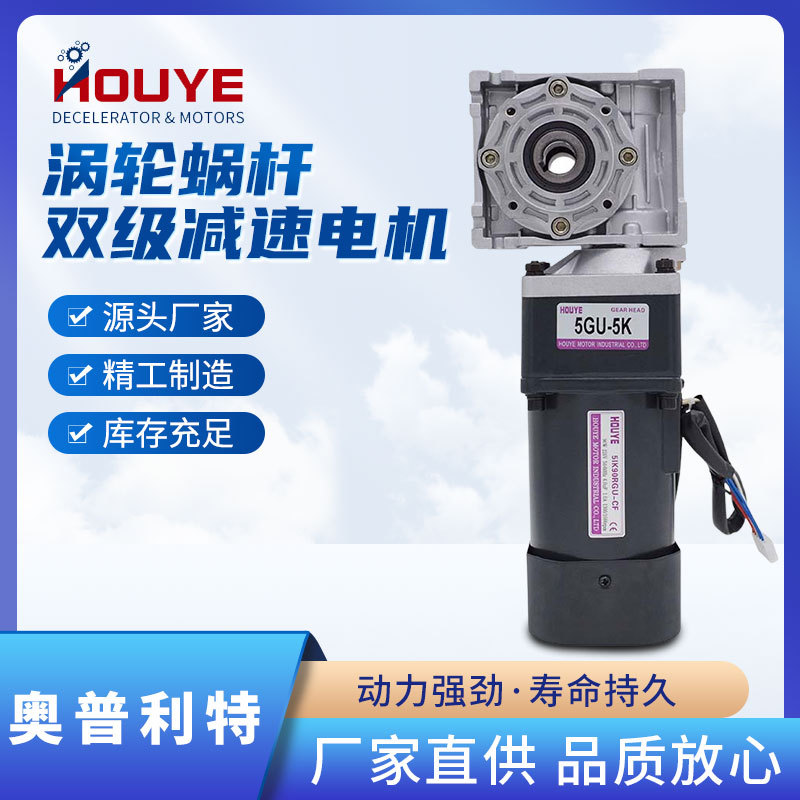 低速交流220V雙級(jí)齒輪蝸輪減速電機(jī)40W-200W自鎖渦輪蝸桿慢速馬達(dá)