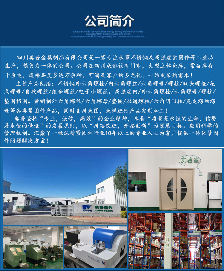 平頭內(nèi)六角螺絲_20